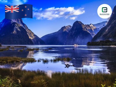 Company Incorporate in New Zealand