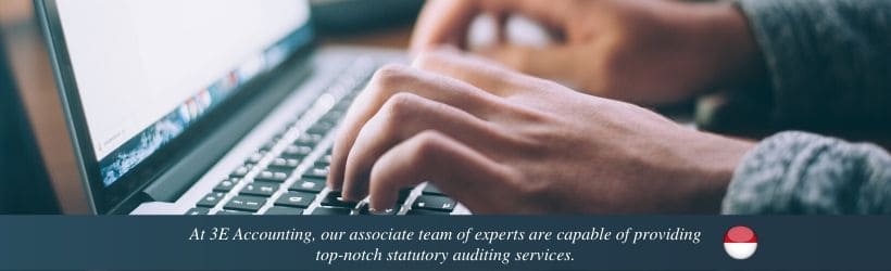 At 3E Accounting, our associate team of experts are capable of providing top-notch statutory auditing services.