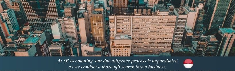 At 3E Accounting, our due diligence process is unparalleled as we conduct a thorough search into a business.