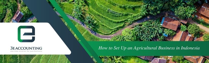 How to Set Up an Agricultural Business in Indonesia