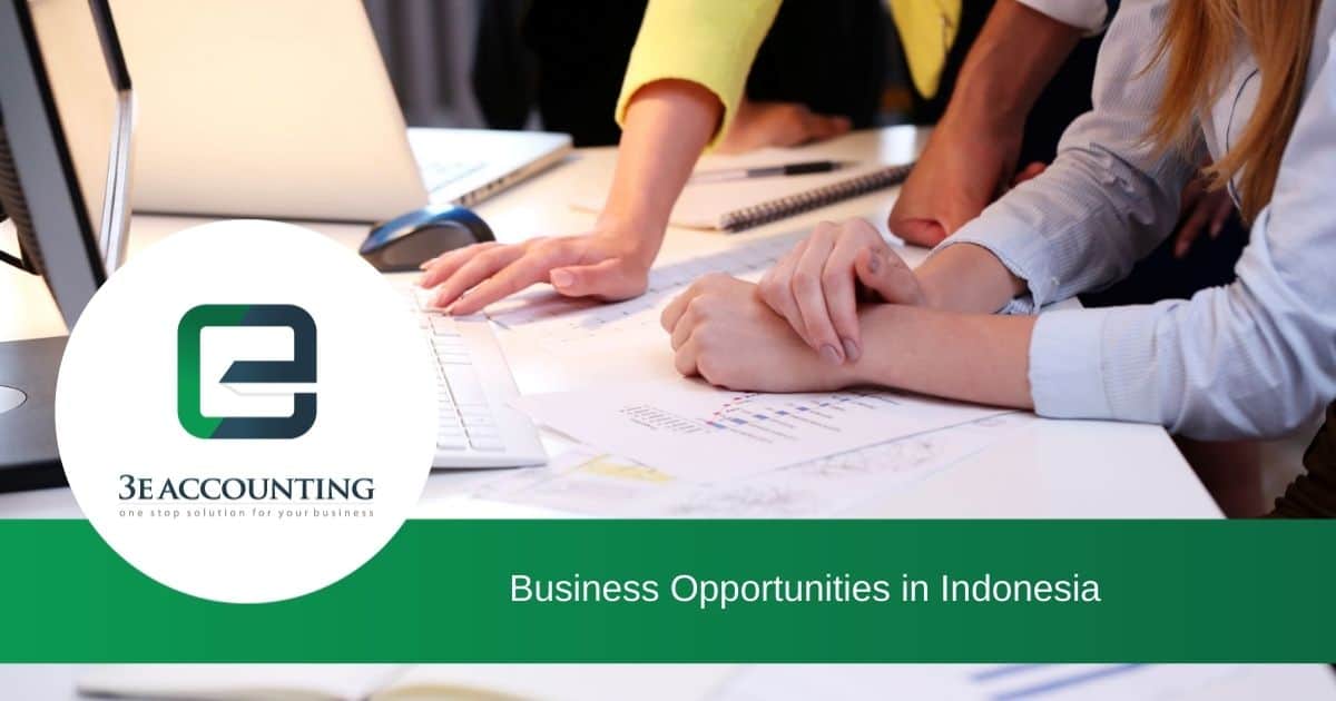 Business Opportunities in Indonesia - The Overview
