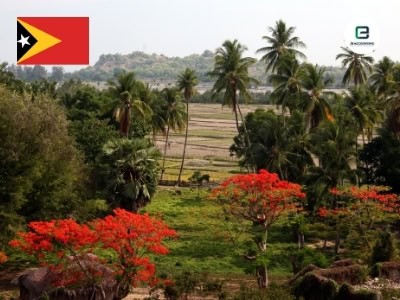company incorporate in timor-leste
