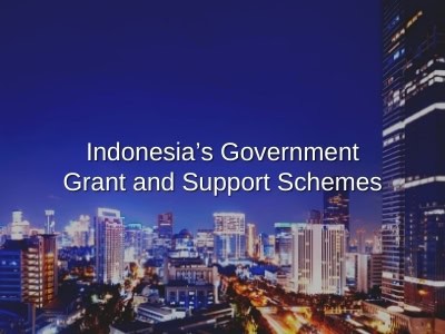 Indonesia’s Government Grant and Support Schemes