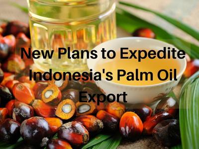 New Plans to Expedite Indonesia's Palm Oil Export