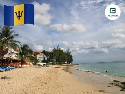 Pendirian Perusahaan di Barbados