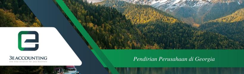 Pendirian Perusahaan di Georgia