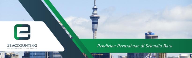 Pendirian Perusahaan di Selandia Baru