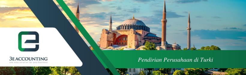 Pendirian Perusahaan di Turki