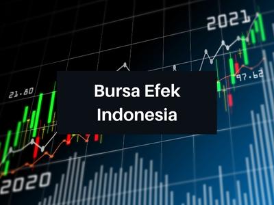Bursa Efek Indonesia