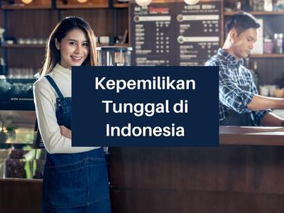Kepemilikan Tunggal di Indonesia