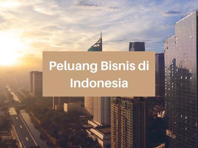 Peluang Bisnis di Indonesia