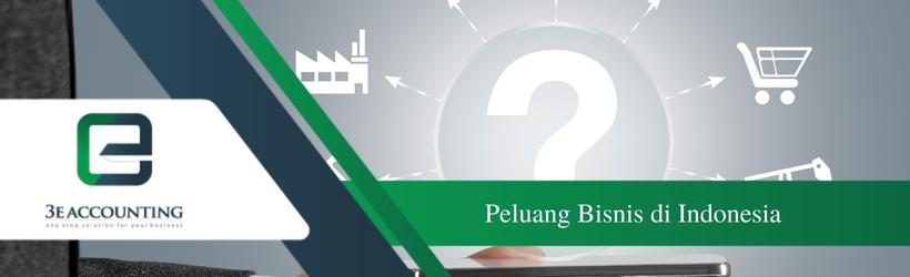 Peluang Bisnis di Indonesia