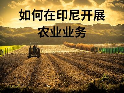 如何在印尼开展农业业务