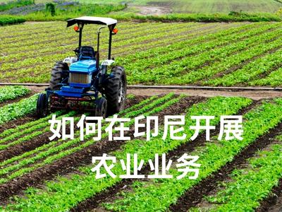 如何在印尼开展农业业务