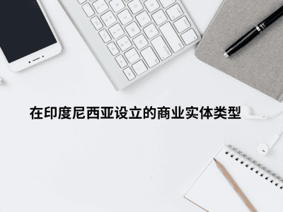 在印度尼西亚设立的商业实体类型