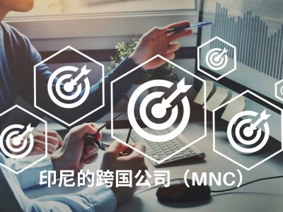 印尼的跨国公司（MNC）