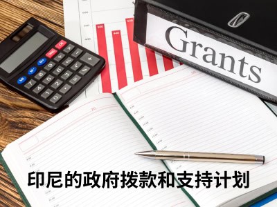 印尼的政府拨款和支持计划 