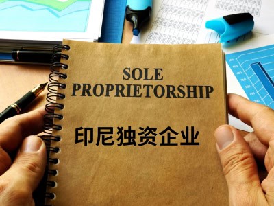 印尼独资企业