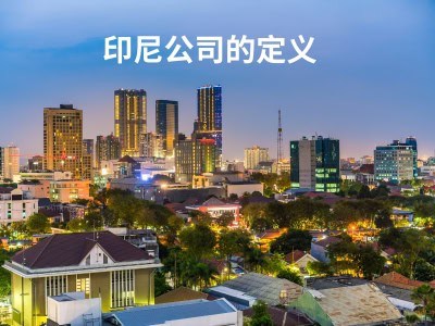 印尼公司的定义 