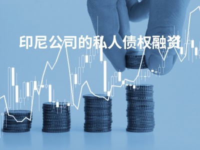 印尼公司的私人债权融资 