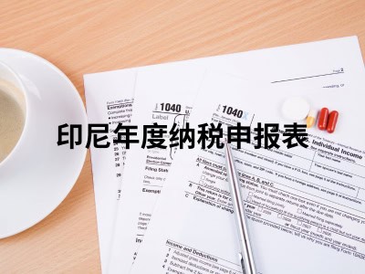 印尼年度纳税申报表