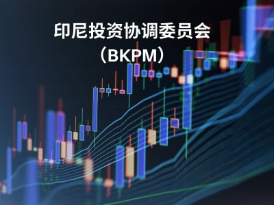 印尼投资协调委员会（BKPM） 