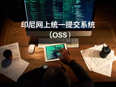 印尼网上统一提交（OSS）系统 