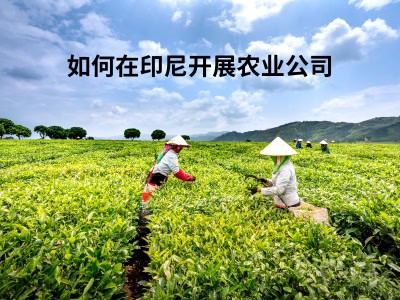 如何在印尼开展农业公司 