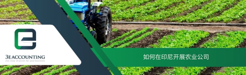 如何在印尼开展农业公司 