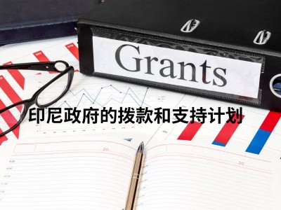 印尼政府的拨款和支持计划 