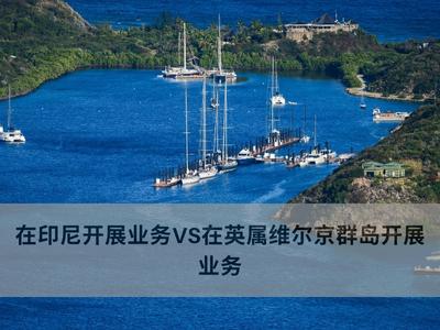 在印尼开展业务VS在英属维尔京群岛开展业务 
