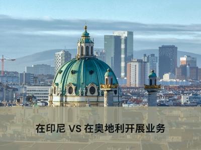 在印尼 VS 在奥地利开展业务