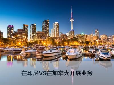 在印尼VS在加拿大开展业务