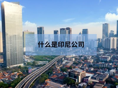 什么是印尼公司