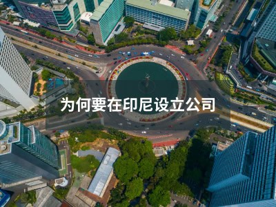 为何要在印尼设立公司