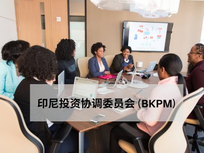 印尼投资协调委员会 (BKPM) 