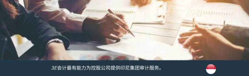 印尼控股公司集团审计 
