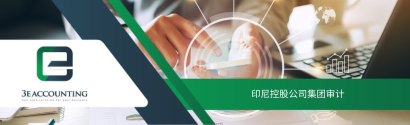 印尼控股公司集团审计 