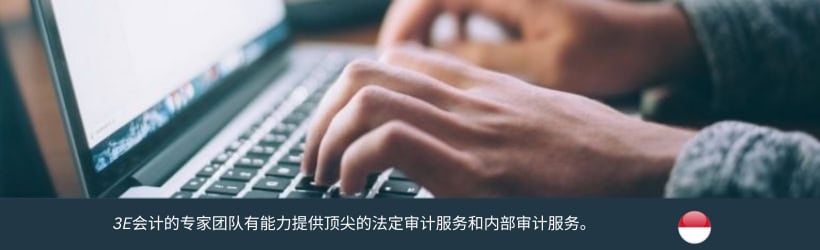 印尼内部审计服务 