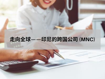 走向全球——印尼的跨国公司 (MNC) 