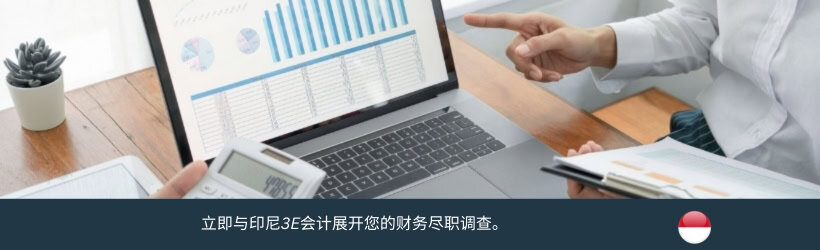 印尼财务尽职调查
