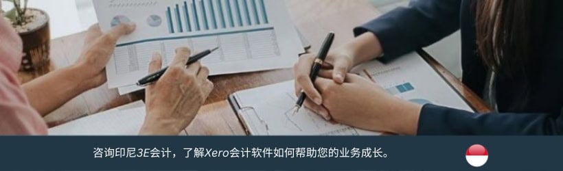 印尼XerO云端会计软件