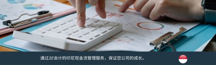 印尼现金流管理服务