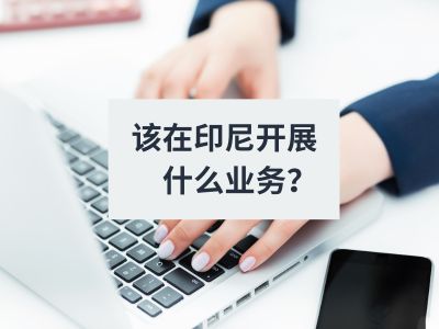 该在印尼开展什么业务？