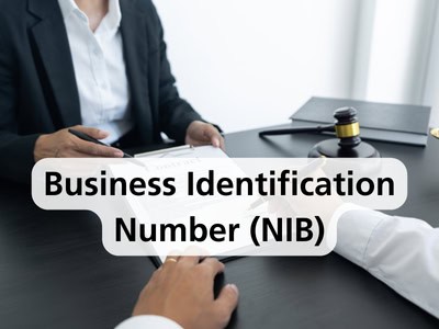 Business Identification Number (NIB)