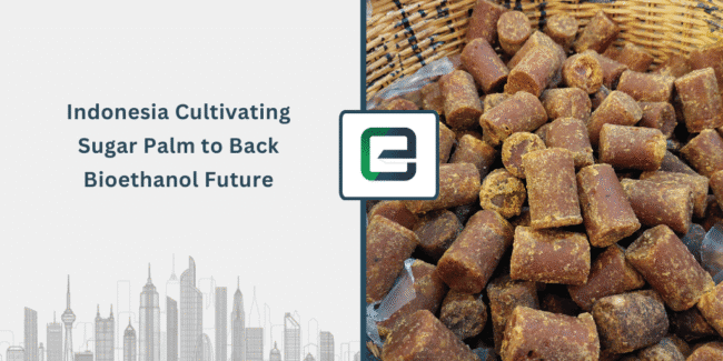 indonesia-cultivating-sugar-palm-to-back-bioethanol-future-1024x512