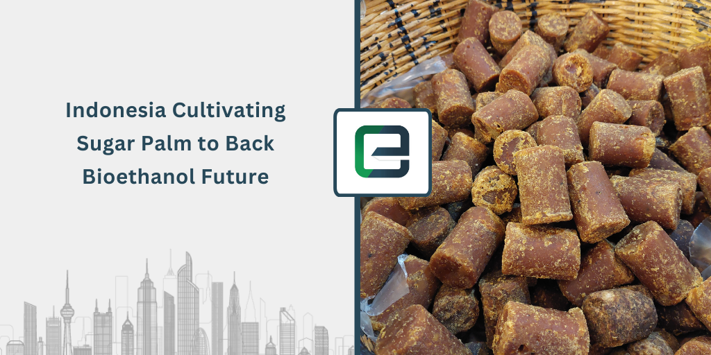 indonesia-cultivating-sugar-palm-to-back-bioethanol-future-1024x512