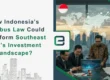 How Indonesia’s Omnibus Law Could Transform Southeast Asia’s Investment Landscape