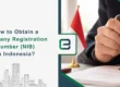 How to Obtain a Company Registration Number (NIB) in Indonesia?