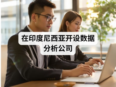 在印度尼西亚开设数据分析公司